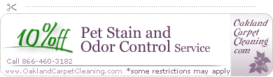odor and pet stain removal