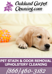 Oakland Pet Stains & Odor Cleaning