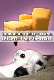 Oakland Upholstery Cleaning