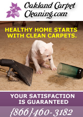 Carpet Cleaning in Martinez, CA 94553