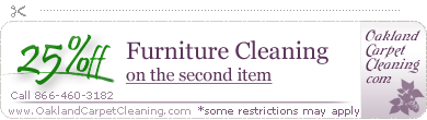 furniture cleaning