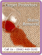 Stain Removal