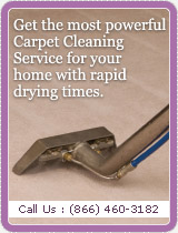 Steam Cleaning - Free Estimate