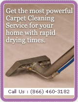 Carpet Cleaning Services